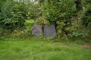 viejo cementerio en el bosque foto