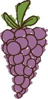 Grapes Chalk Drawing vector