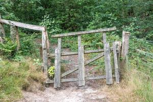 puerta de madera en un campo con valla foto