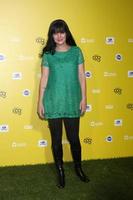 LOS ANGELES, JAN 10 - Pauley Perrette at the CW Network presents World Dog Awards at a Barker Hanger on January 10, 2015 in Santa Monica, CA photo