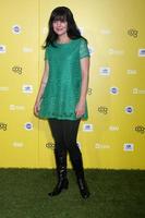 LOS ANGELES, JAN 10 - Pauley Perrette at the CW Network presents World Dog Awards at a Barker Hanger on January 10, 2015 in Santa Monica, CA photo