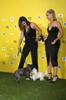 LOS ANGELES, JAN 10 - Jenna Ushkowitz, Bear, Becca Tobin, Sophie at the CW Network presents World Dog Awards at a Barker Hanger on January 10, 2015 in Santa Monica, CA photo