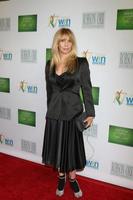 LOS ANGELES, FEB 10 - Rosanna Arquette at the 17th Annual Women s Image Awards at the Royce Hall on February 10, 2016 in Westwood, CA photo