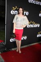 LOS ANGELES, DEC 7 - Erin Cummings arrives at the Premiere Of Encore s Method To The Madness Of Jerry Lewis at Paramount Studios Theater on December 7, 2011 in Los Angeles, CA photo