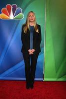 LOS ANGELES, DEC 16 - Hope Davis at the NBCUniversal TCA Press Tour at the Huntington Langham Hotel on December 16, 2015 in Pasadena, CA photo