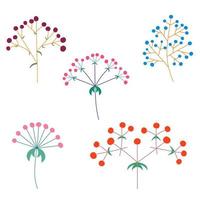 conjunto vectorial de inflorescencias florales de plantas en el tallo. estilo plano