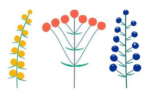 conjunto vectorial de inflorescencias florales de plantas en el tallo. estilo plano vector