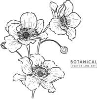 arte de línea de vector botánico, ilustración de flor dibujada a mano 04