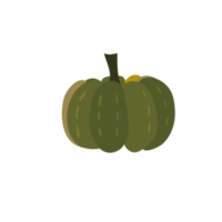 green pumpkin on transparent background png