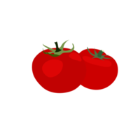 red tomato on transparent  background png