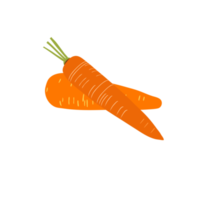 carota su sfondo trasparente png