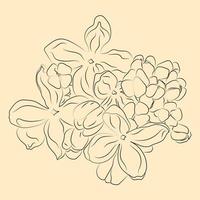 Flower in line art style. Set of flowers. Minimalistic contour drawing. Line artwork vector