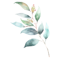 natural leaf watercolor png