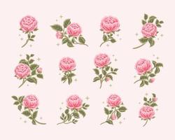 Collection of vintage romantic rose flower bud feminine logo, beauty label, branding elements vector