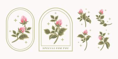 Collection of vintage romantic rose flower bud feminine logo, beauty label, branding elements vector