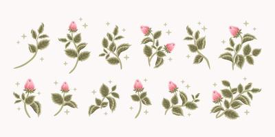 Collection of vintage romantic rose flower bud feminine logo, beauty label, branding elements vector
