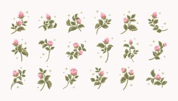 Collection of vintage romantic rose flower bud feminine logo, beauty label, branding elements vector