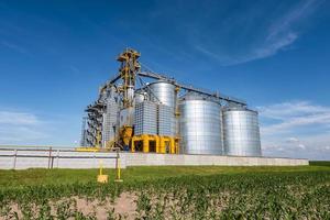 silos de plata en la planta de procesamiento y fabricación de productos agrícolas para el procesamiento, secado, limpieza y almacenamiento de productos agrícolas, harina, cereales y granos. ascensor granero. foto