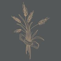 Wheat ear spikelet line art drawing vector illustration.Wheat ears bouquet with patch on dark background.Design element for poster, card, banner, menu.