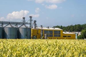 silos y complejo ganadero agroindustrial en planta de procesamiento y fabricación agrícola con elevador de granero moderno. granja de pollos. filas de gallinero foto