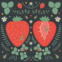 Ripe strawberries, on a dark background with floral elements, flowers, leaves and beetles. vector