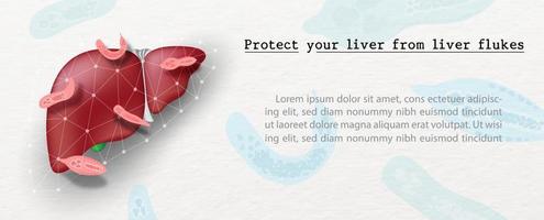 Liver flukes on Human liver protected by net and with the name and example texts on paper pattern and liver flukes background. All in vector and web banner design.