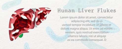 Liver flukes on hole in Human liver shape with the name and example texts on paper pattern and liver flukes background. All in vector paper cut and web banner design.