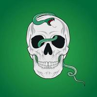 Skull Head Vector Illustration With Dangerous snake