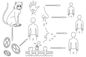 Monkeypox. The route of infection and the mechanism of transmission to humans of the smallpox virus. Sketch. Monkey - virus - man. Vector illustration. Coloring book. Outline on isolated background.