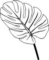 Monstera or palm leaf isolated leaf outline. Black sketch of a plant isolated on a white background. Vector illustration.