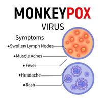 Monkeypox virus. Enlarged samples of human skin with ulcers and virus cells. Monkeypox disease symptoms infographic. Vector illustration.