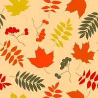 Pattern of variety of colorful trendy autumn leaves. Vector illustrations for web, app and print. Elegant shapes floristic isolated maple, rowan and oak leaves. Forest, botanical, minimalistic floral