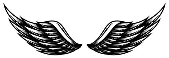 Couple of Wings Black and White Vector