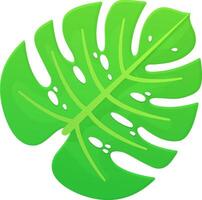 Summer monstera leaf. Exotic palm foliage, tropical nature concept. Stock vector illustration in realistic cartoon style isolated on white background