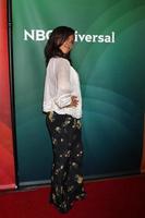 LOS ANGELES, JUL 13 -  Lenora Crichlow at the NBCUniversal July 2014 TCA at Beverly Hilton on July 13, 2014 in Beverly Hills, CA photo