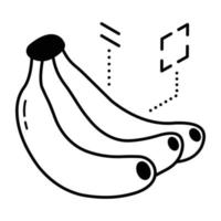 icono de línea moderna de plátanos vector