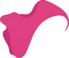 illustrazione disegnata a mano del fiore del giglio di calla rosa. png