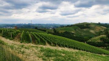 los paisajes de monta d'alba durante la mangialonga, en el langhe piamontés a principios de verano foto