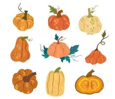 Pumpkins set. Pumpkin shapes with leaves, half with seeds and slices. Autumn, fall, thanksgiving and halloween decoration. Hand draw vector cartoon illustration