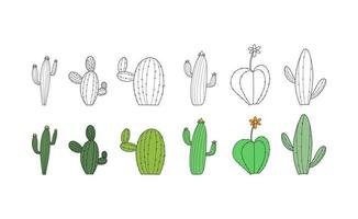 conjunto de cactus sobre fondo blanco vector