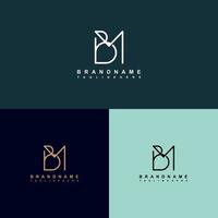 BM Letter Logo Vector Design