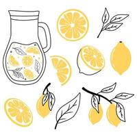 conjunto de limones en estilo doodle. colección de limones en una rama, una rodaja de limón, medio limón. ilustración vectorial vector