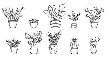 Set of indoor plants in doodle style. Houseplants. Vector illustration. Home flowers in pots.