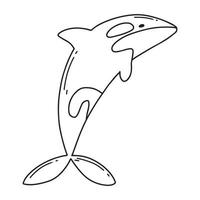 Childrens illustration of cute killer whale. Hand-drawn killer whale. Cute whale. Vector illustration. Doodle style.