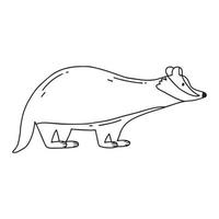 Badger illustration isolated on white background. Cute hand drawn badger. Vector illustration.Doodle style