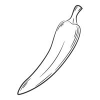 Chili Pepper. A vegetable in a linear style, drawn by hand. Food ingredient, design element.Lineart. Black and white vector illustration. Isolated on a white background