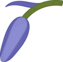 ilustração de mão desenhada flor campainha. png