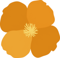 illustration dessinée à la main de fleur de pavot de californie orange. png