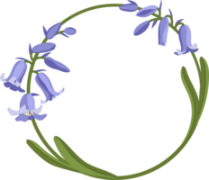 bluebell flower hand drawn illustration. png