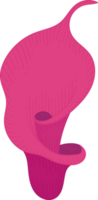 illustrazione disegnata a mano del fiore del giglio di calla rosa. png